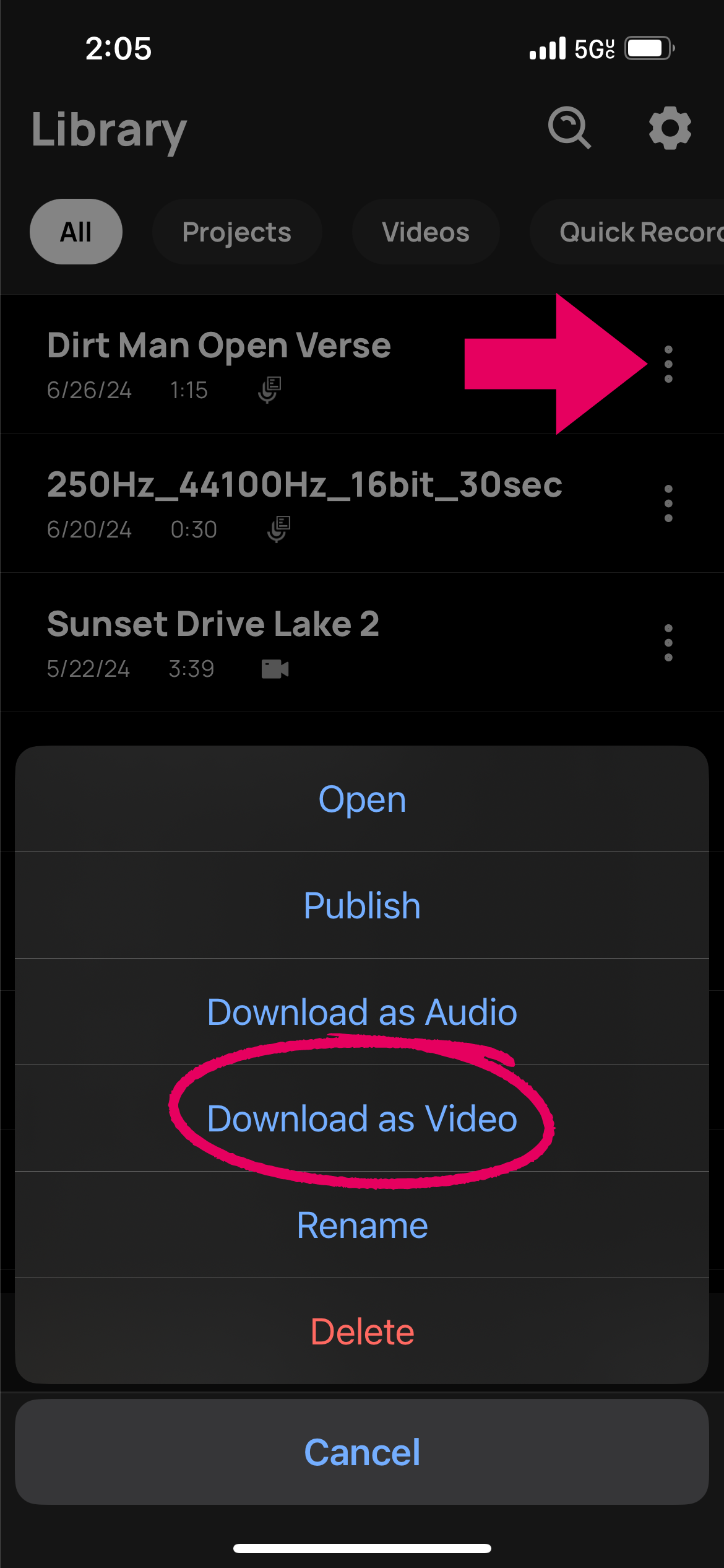 Download as Video.png